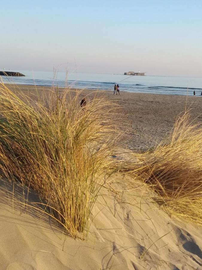 Location Le Samaria Villa 29 - Mail De Rochelongue Agde Kültér fotó